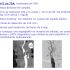 Diapositiva 37